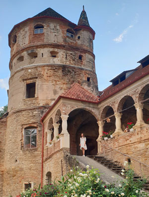 Castelul Bethlen din Cris, Mures
