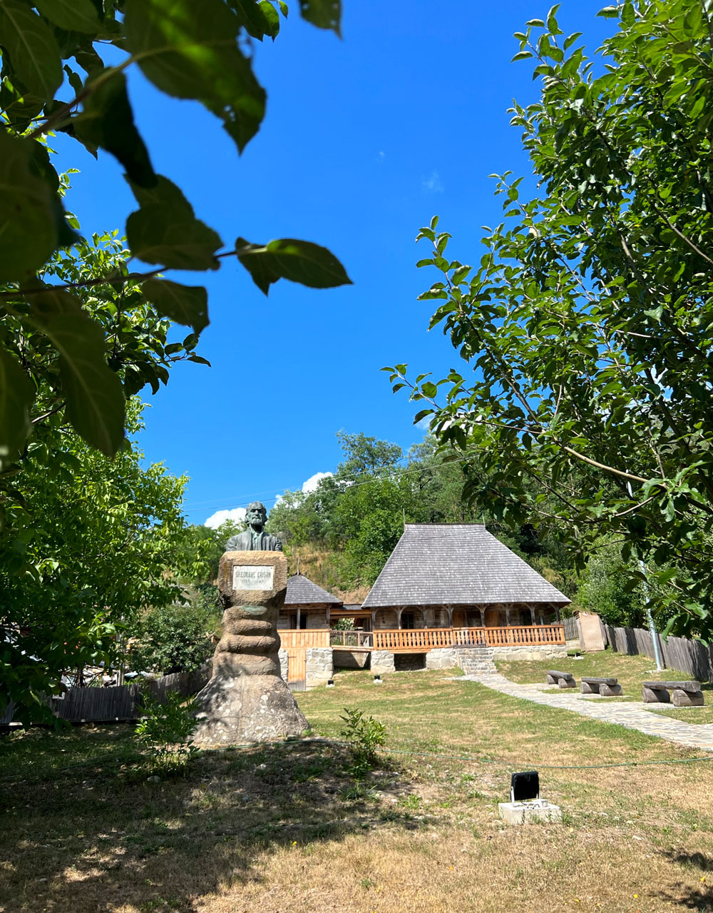 Alexandra Cristian - Crisan deva